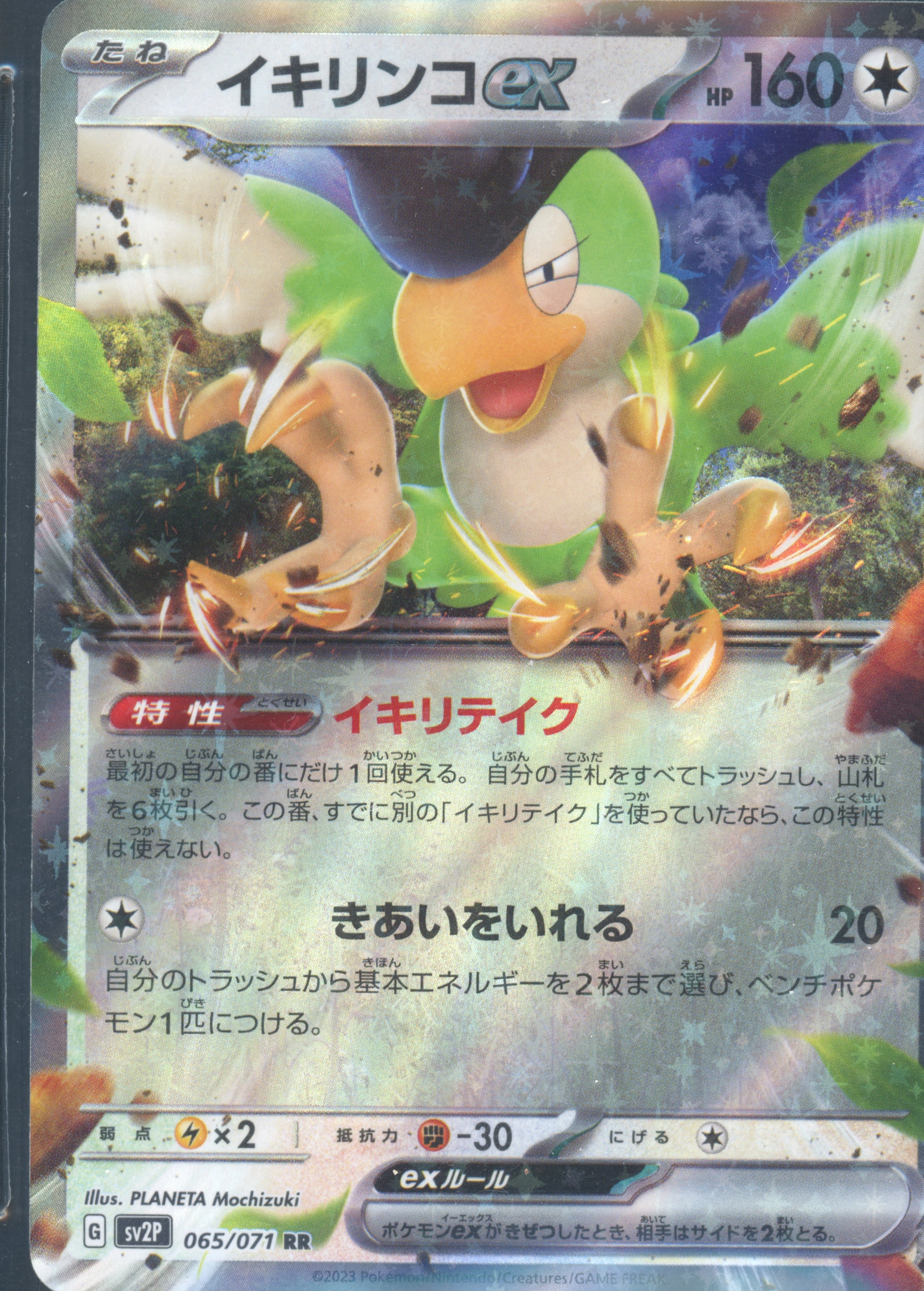 Squawkabilly ex RR