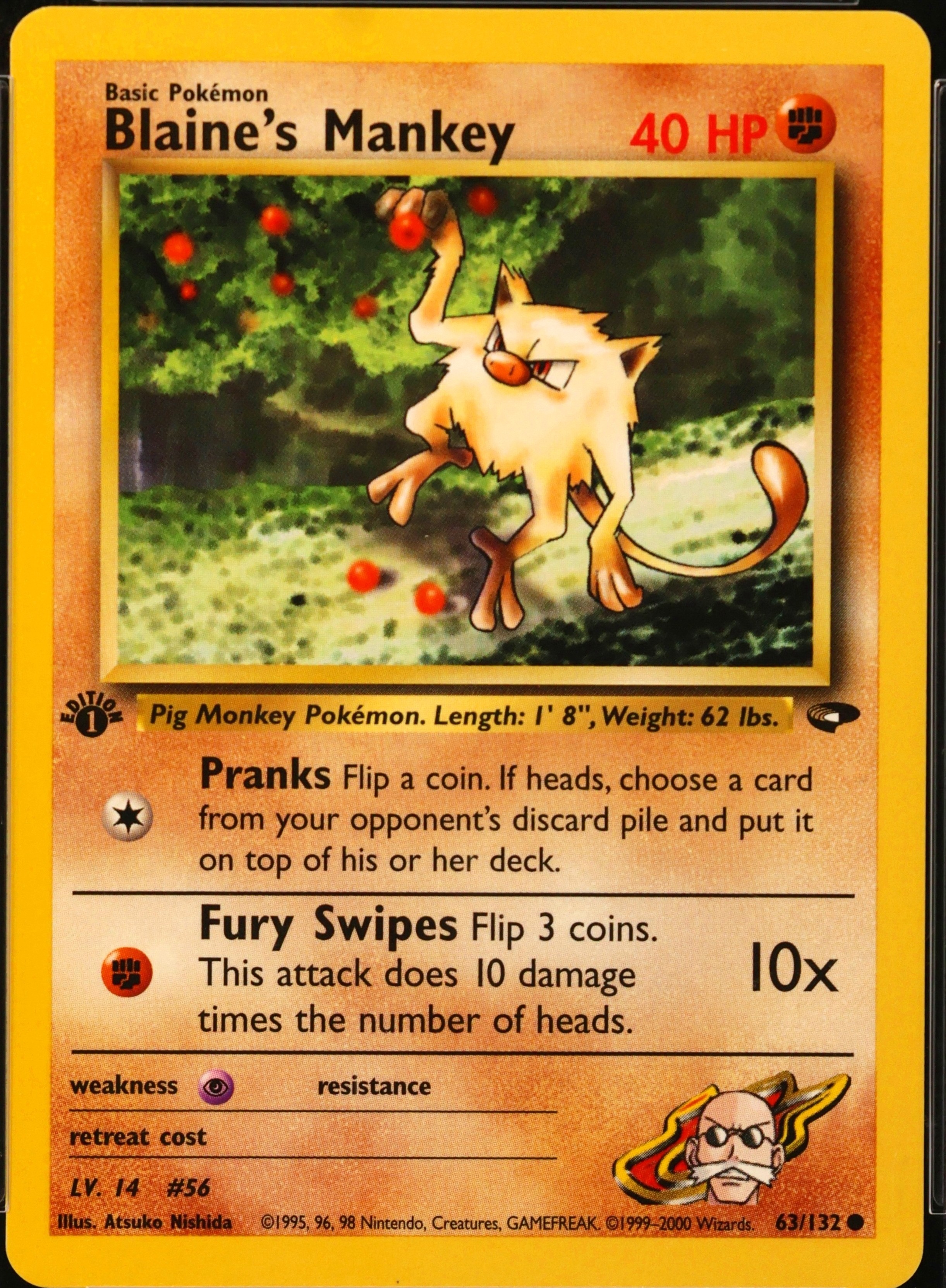Blaine's Mankey