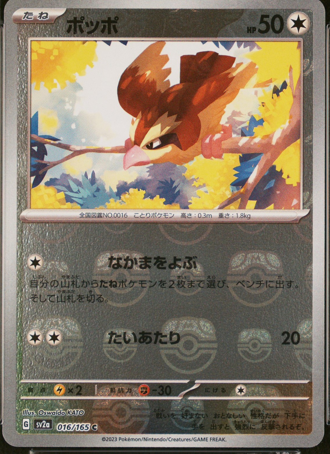 Pidgey